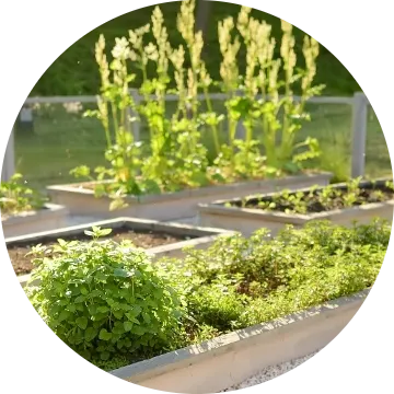 Cos’è e quali benefici ha l’agricoltura sociale