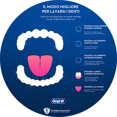 Una guida step by step su come lavare correttamente i denti spazzolando tutte le superfici, il bordo gengivale e la lingua.