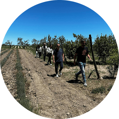 un gruppo di persone cammina in un frutteto