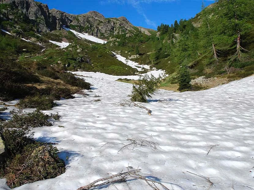 Oasi valtrigona, immagine di un pendio innevato 