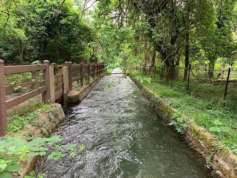 Oasi di vanzago fiume che scorre nel bosco