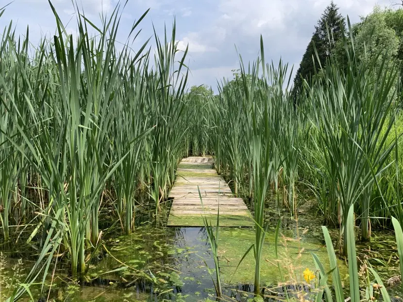 Un’area protetta dall’iniziativa ReNature Italy.