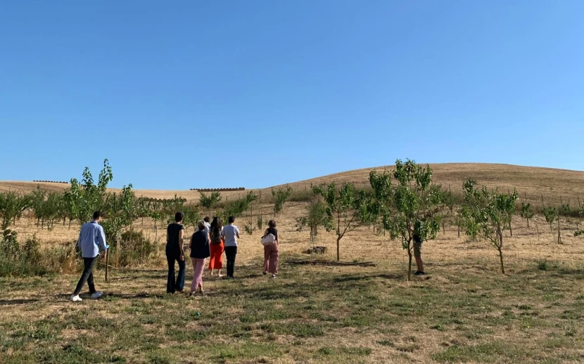 Un gruppo di persone cammina nella campagna tra alberi tra frutta