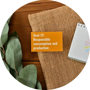 Il consumo responsabile come obiettivo