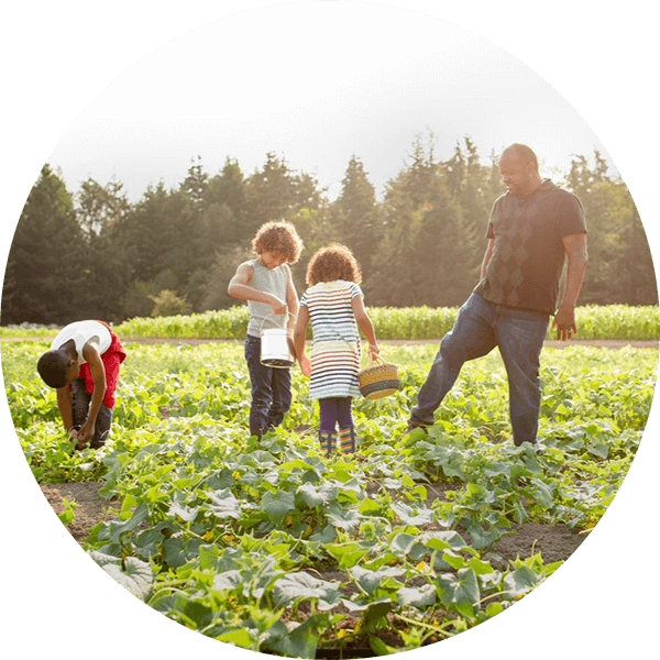 Famiglia che pratica giardinaggio sostenibile