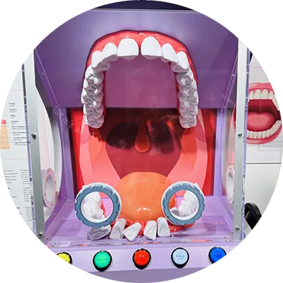 Una bocca gigante, con lingua, tonsille e denti è contenuta all’interno di una teca in stile arcade games. Al di sotto vi sono 5 pulsanti, uno giallo, verde, rosso, celeste e blu che quando premuti illuminano le aree della lingua secondo i gusti.