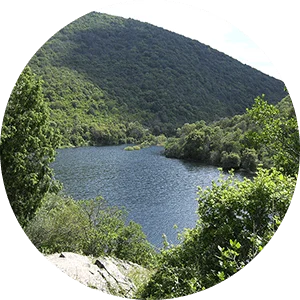 Un laghetto all’interno dell’Oasi Monte Arcosu di Cagliari.