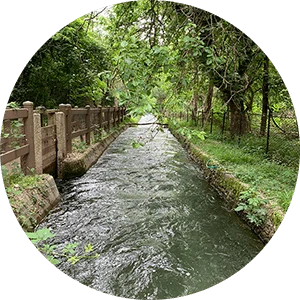 Un corso d’acqua all’interno dell’Oasi Vanzago di Milano.
