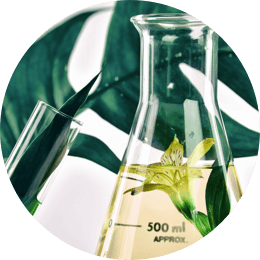 Trasparenza negli ingredienti - immagine