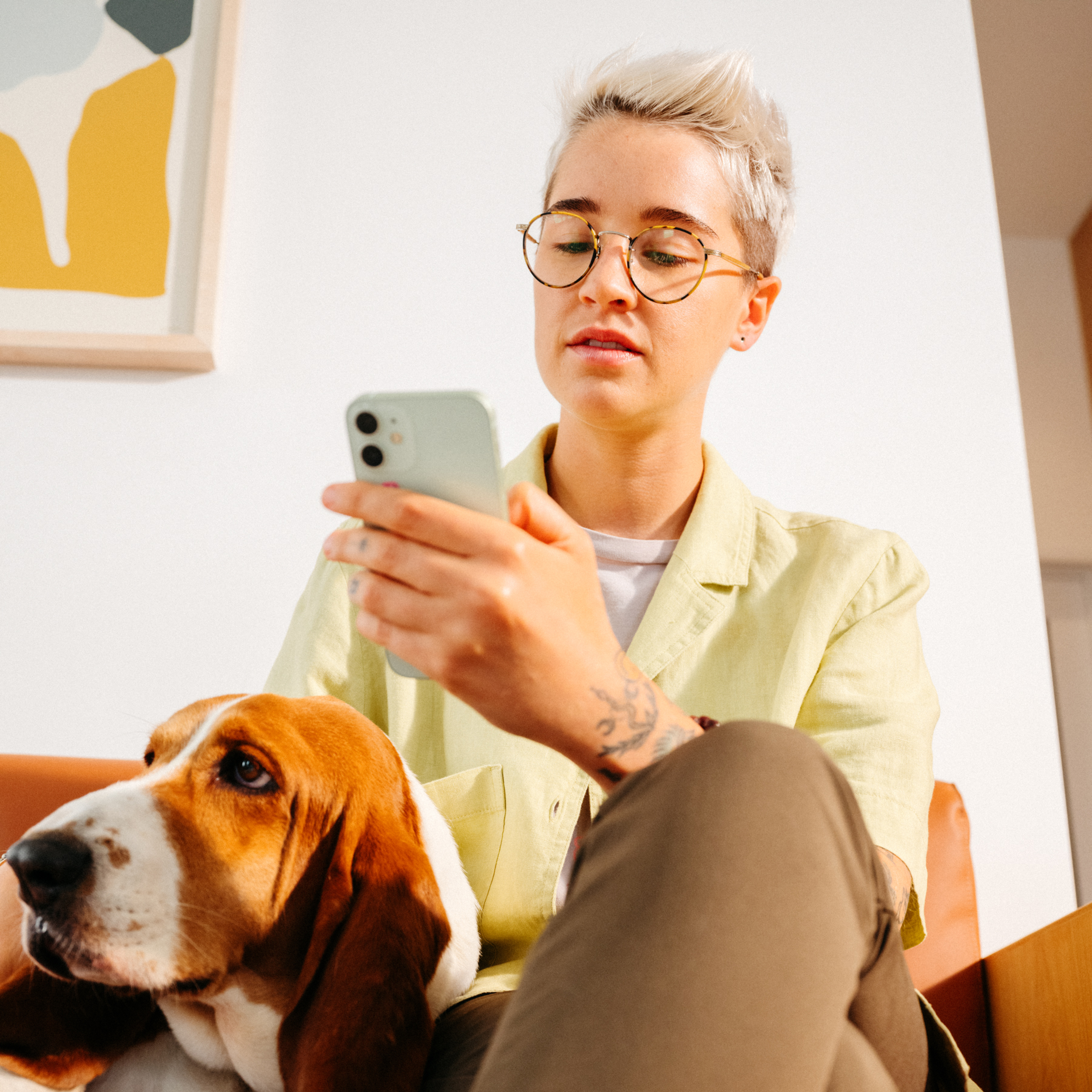 Veterinary Care Membership Modern Animal