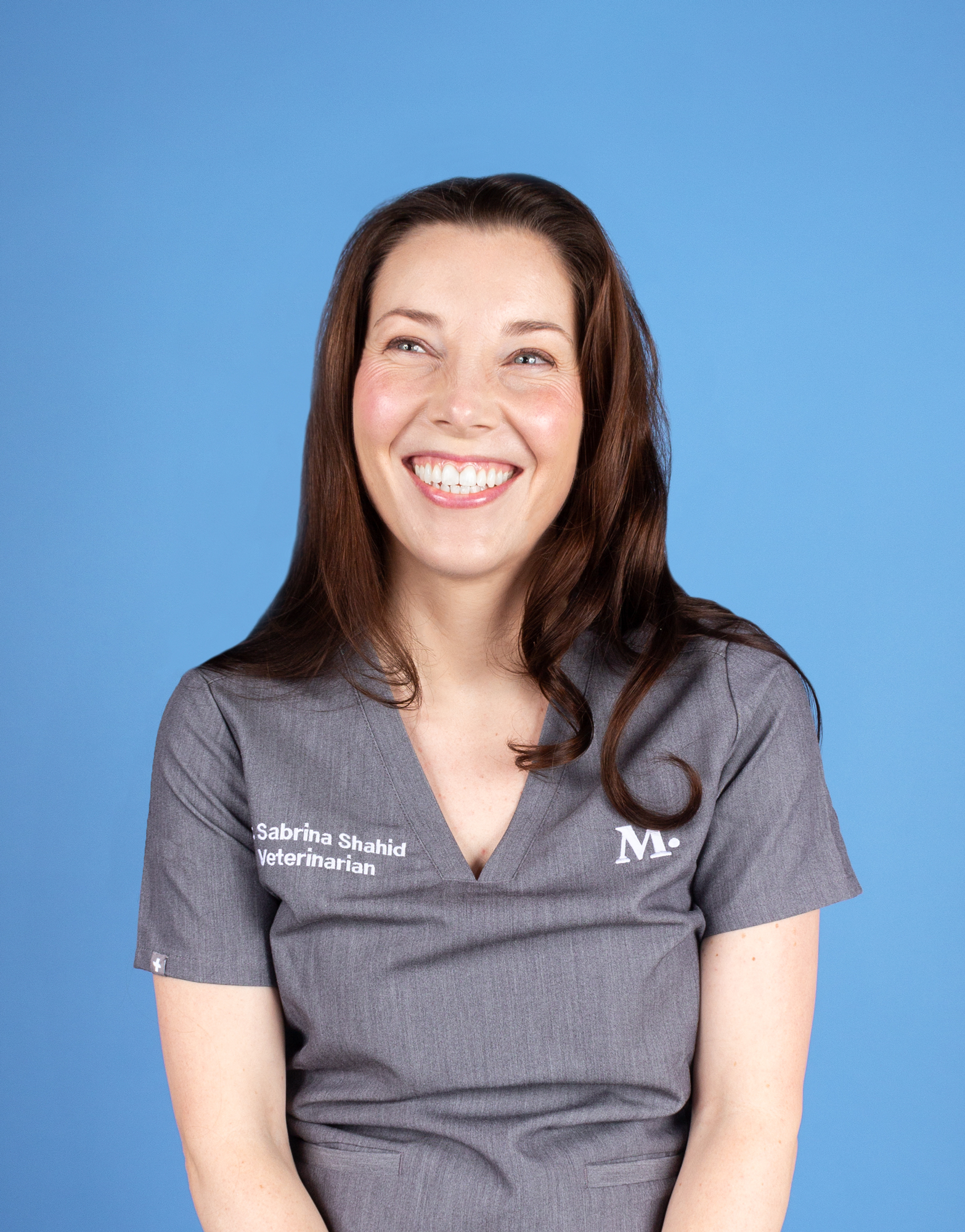 West Hollywood Modern Animal