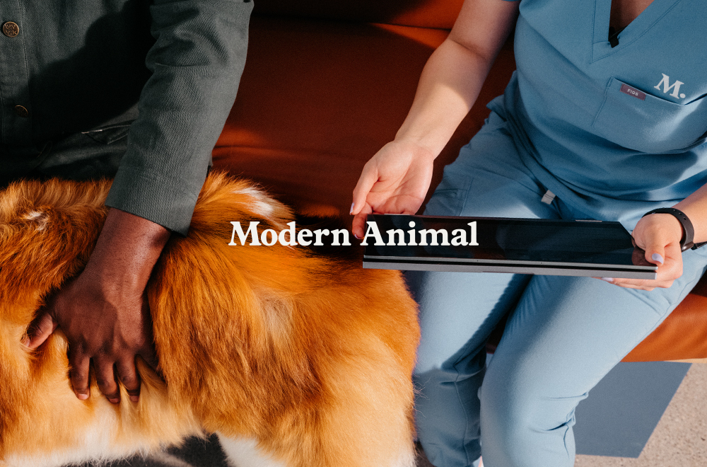 Pricing for Veterinary Services | Modern Animal