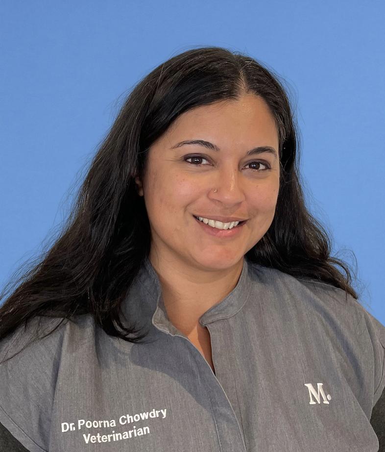 Culver City Vet and Pet Clinic Modern Animal Modern Animal