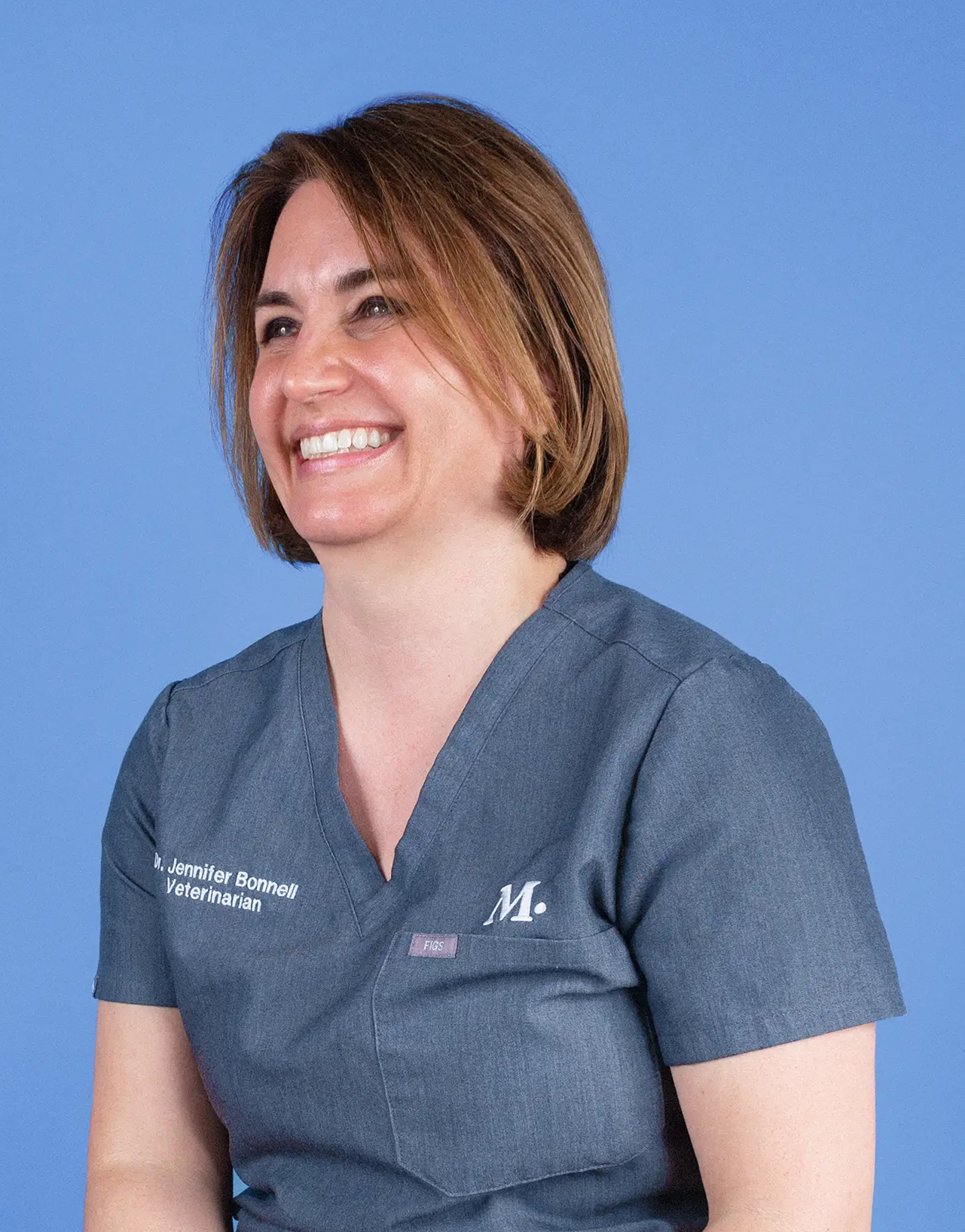 West Hollywood Modern Animal