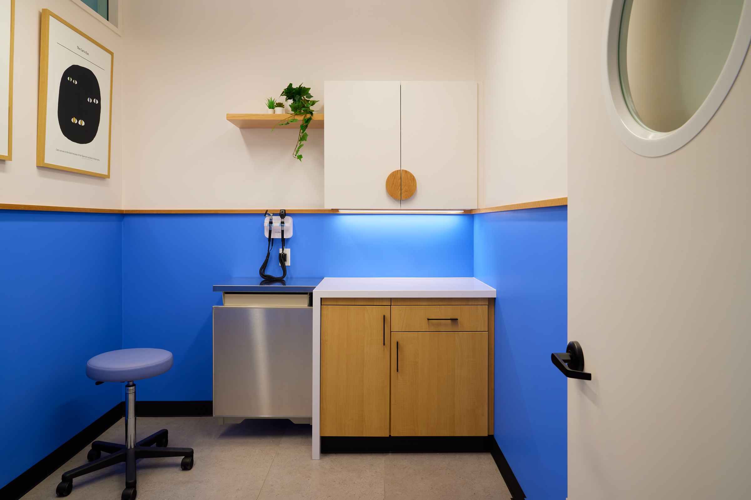 Studio City Modern Animal