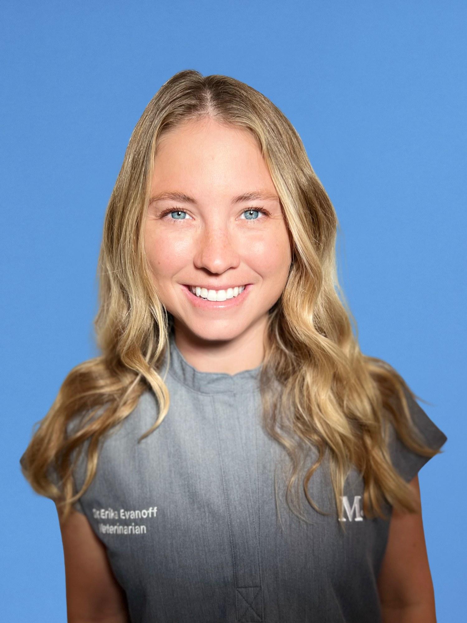 South Lamar Vet and Pet Clinic Modern Animal Modern Animal