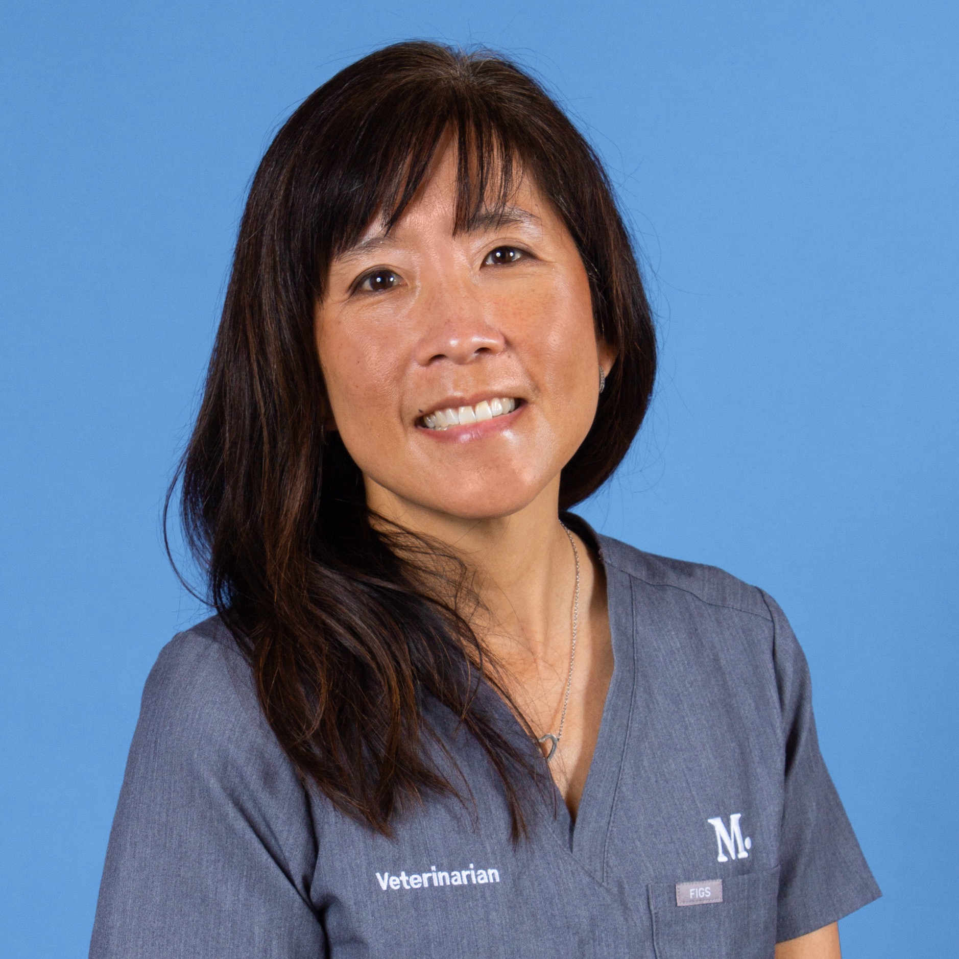 Walnut Creek Vet and Pet Clinic Modern Animal Modern Animal