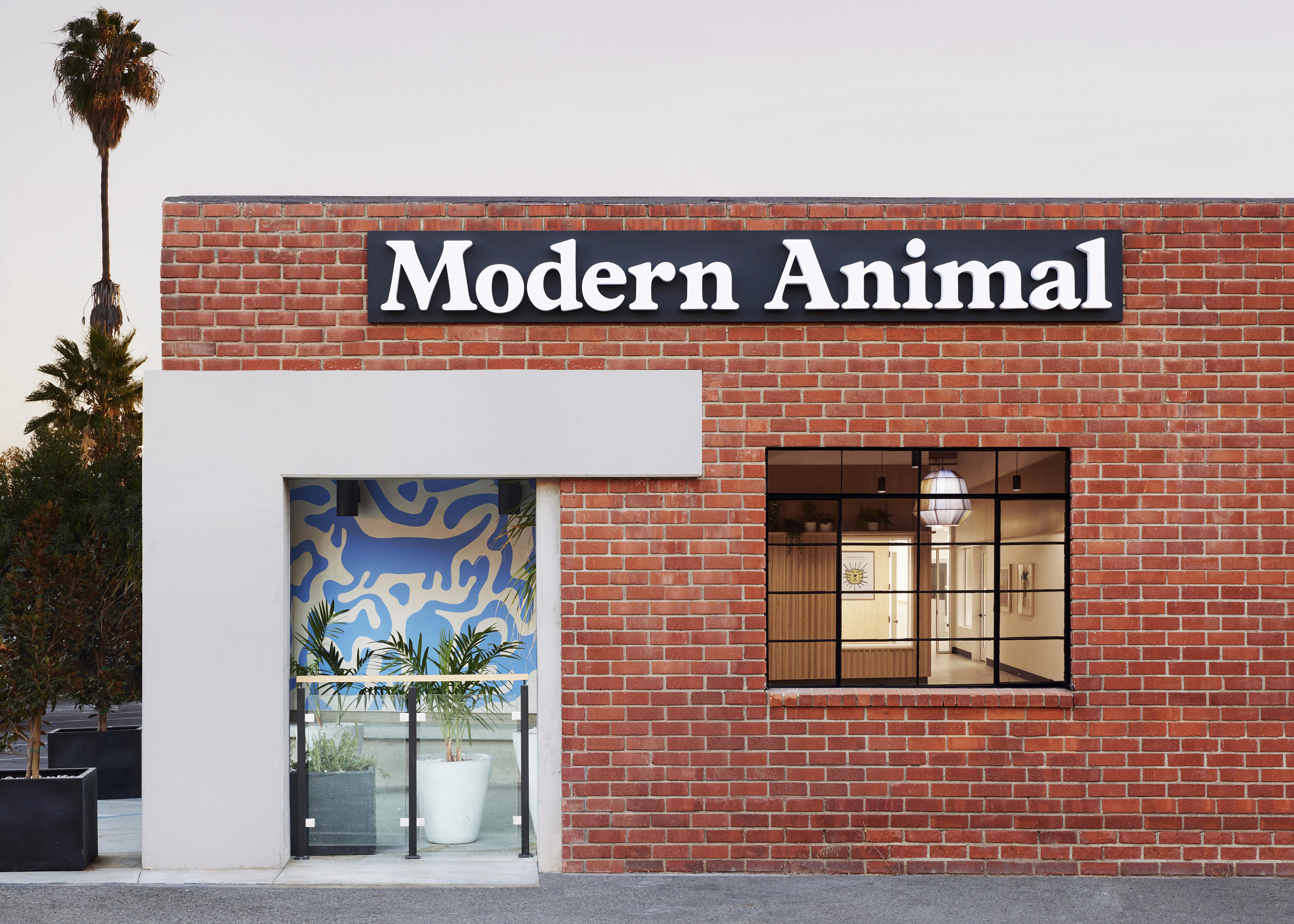 A Smarter, Warmer, Better Vet for All Modern Animal