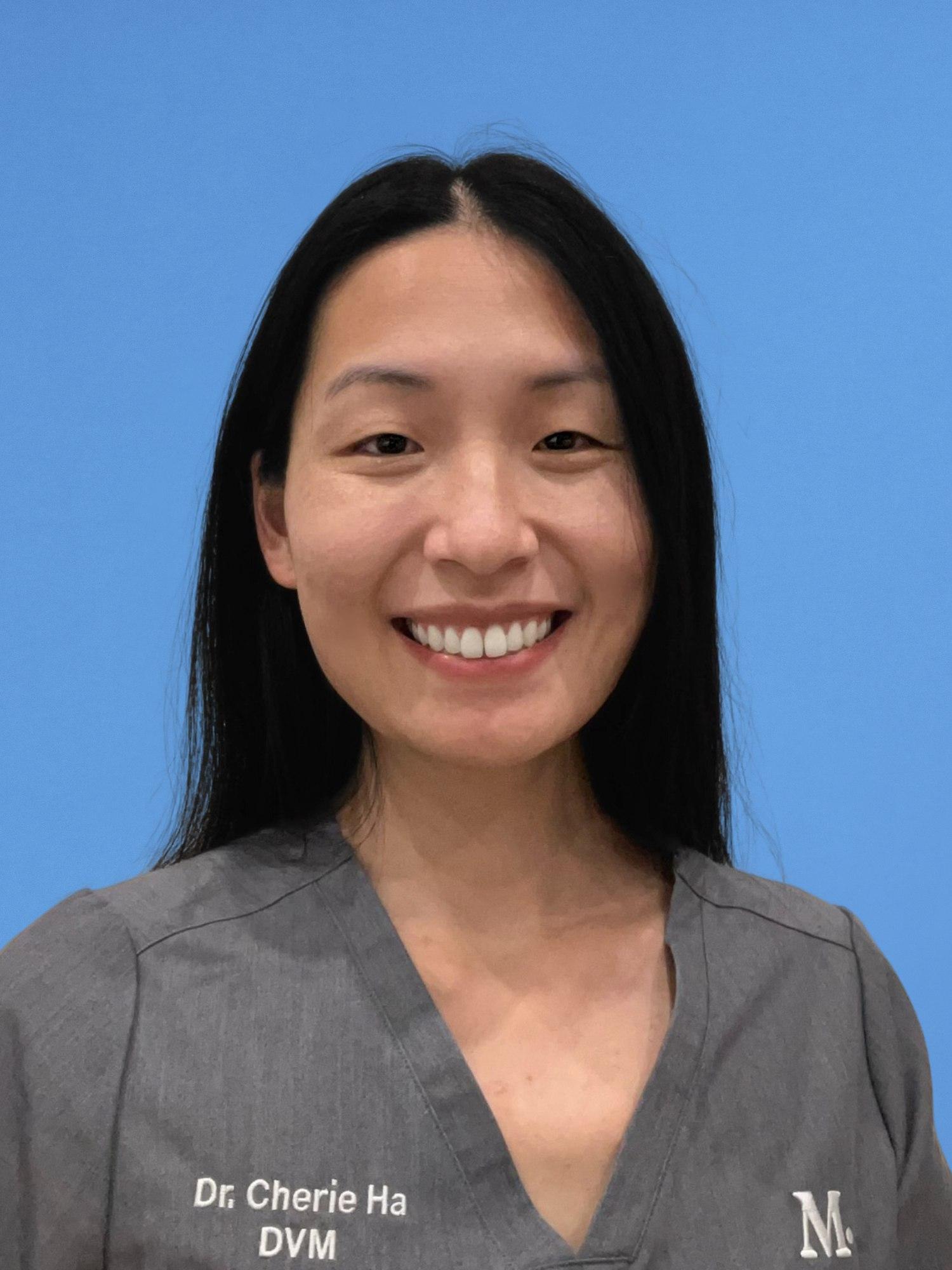 Walnut Creek Vet and Pet Clinic Modern Animal Modern Animal