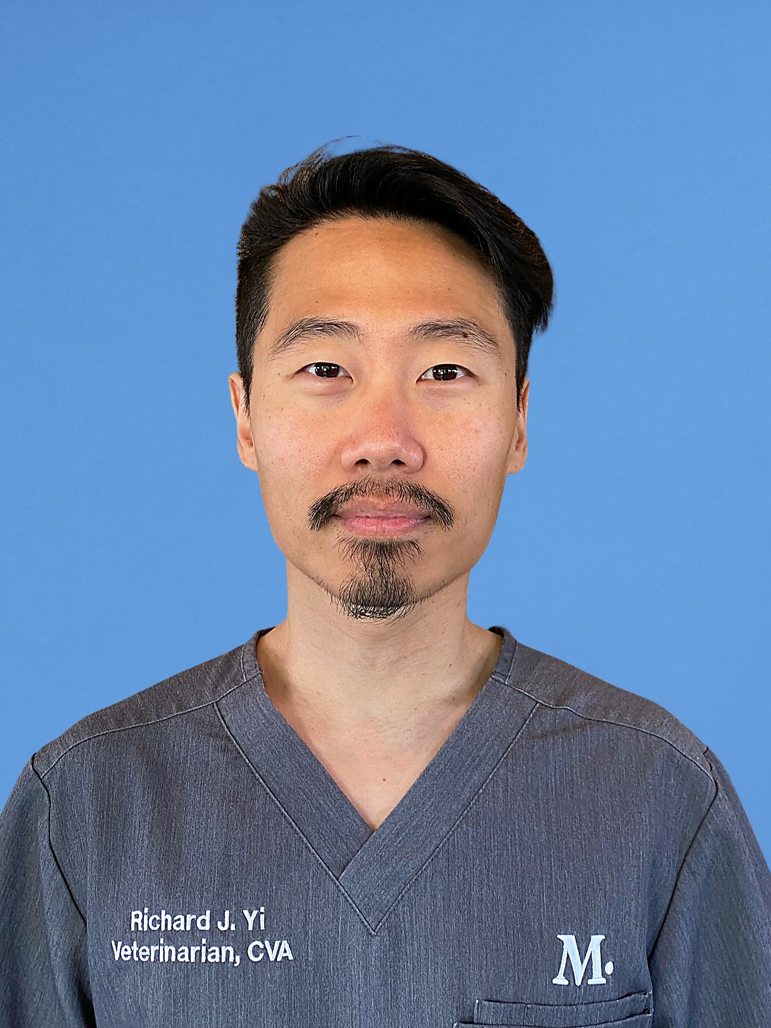 Studio City Modern Animal