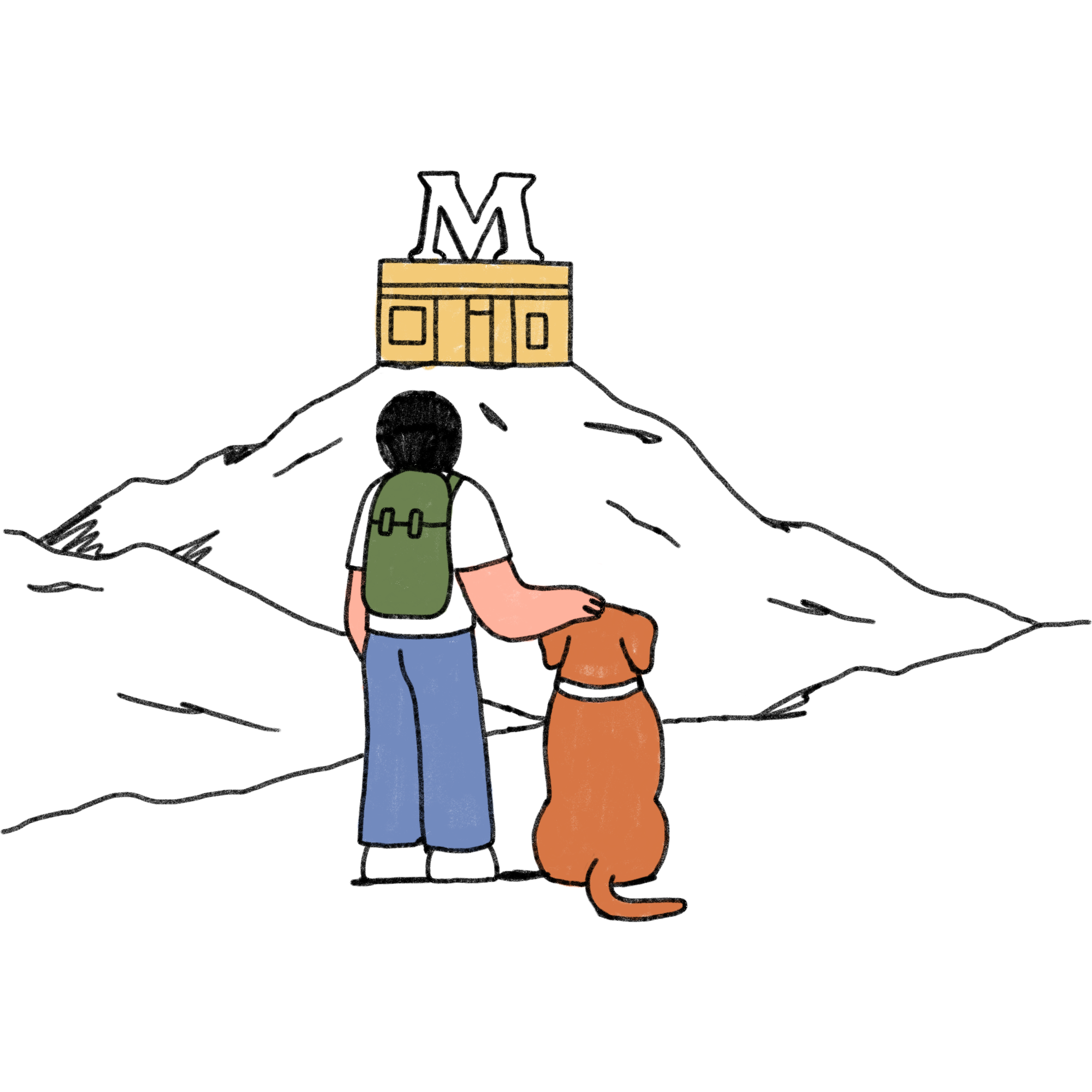 About Us Modern Animal