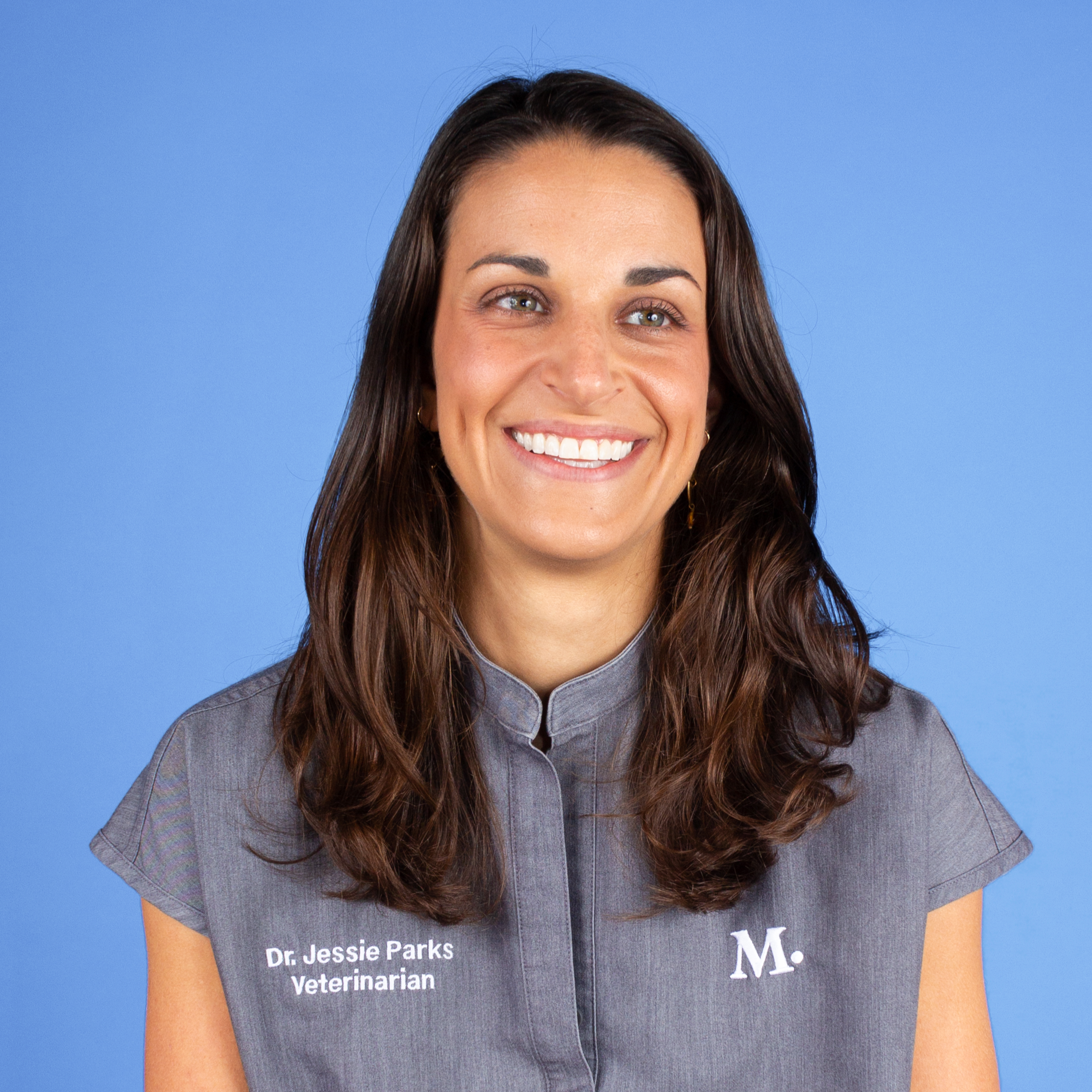 West Hollywood Vet and Pet Clinic Modern Animal Modern Animal