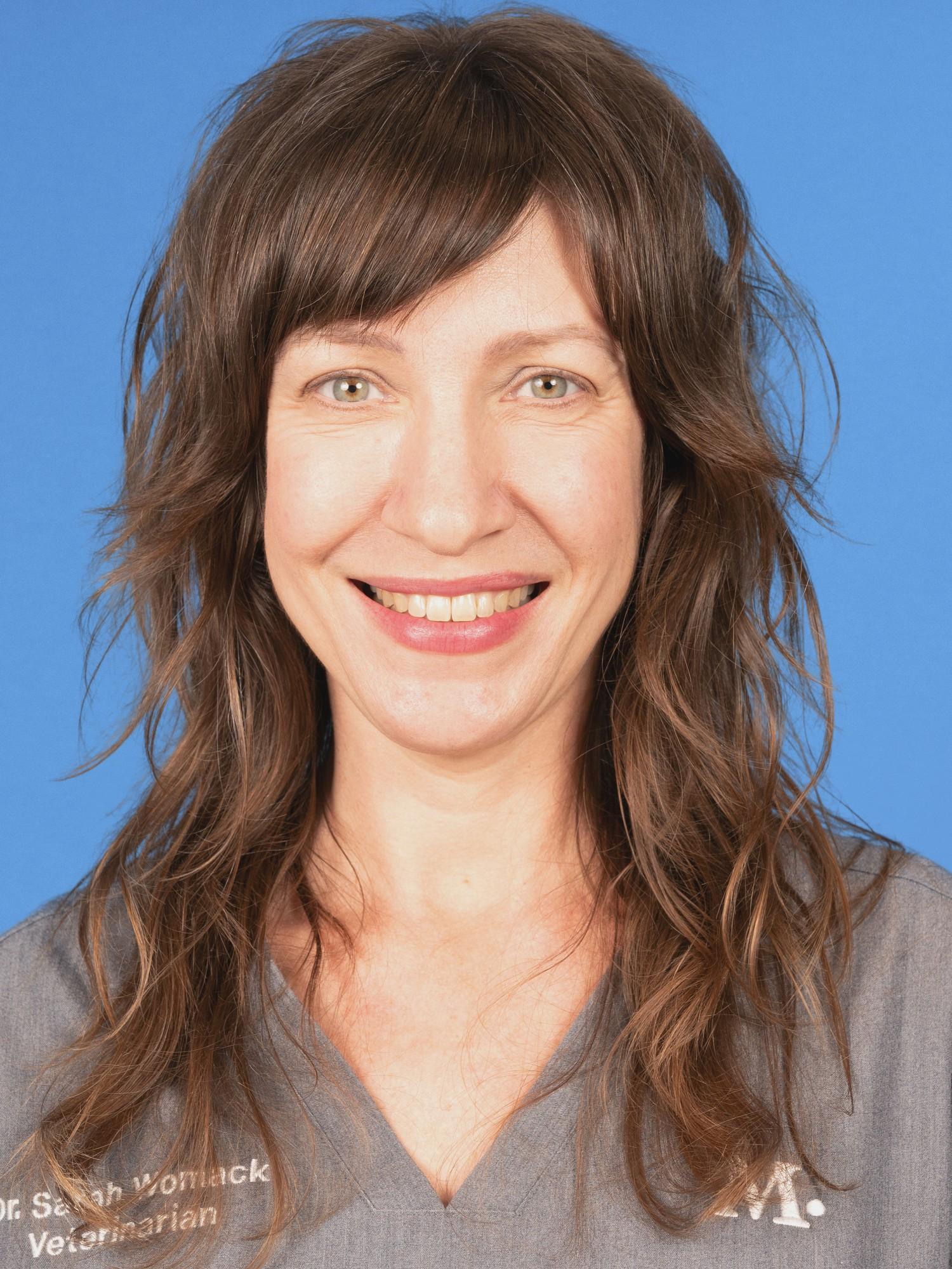 North Austin Vet and Pet Clinic Modern Animal Modern Animal