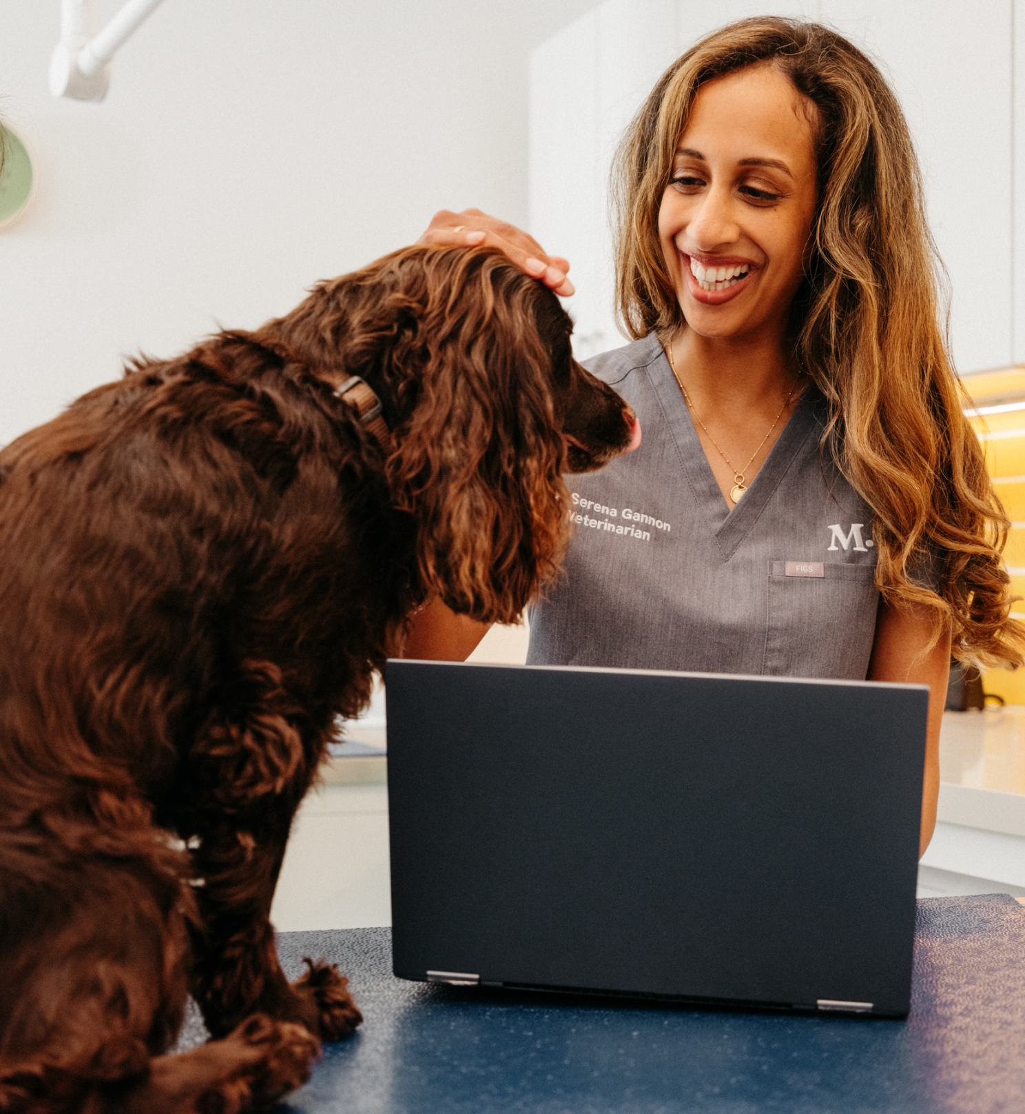 Veterinarians Modern Animal