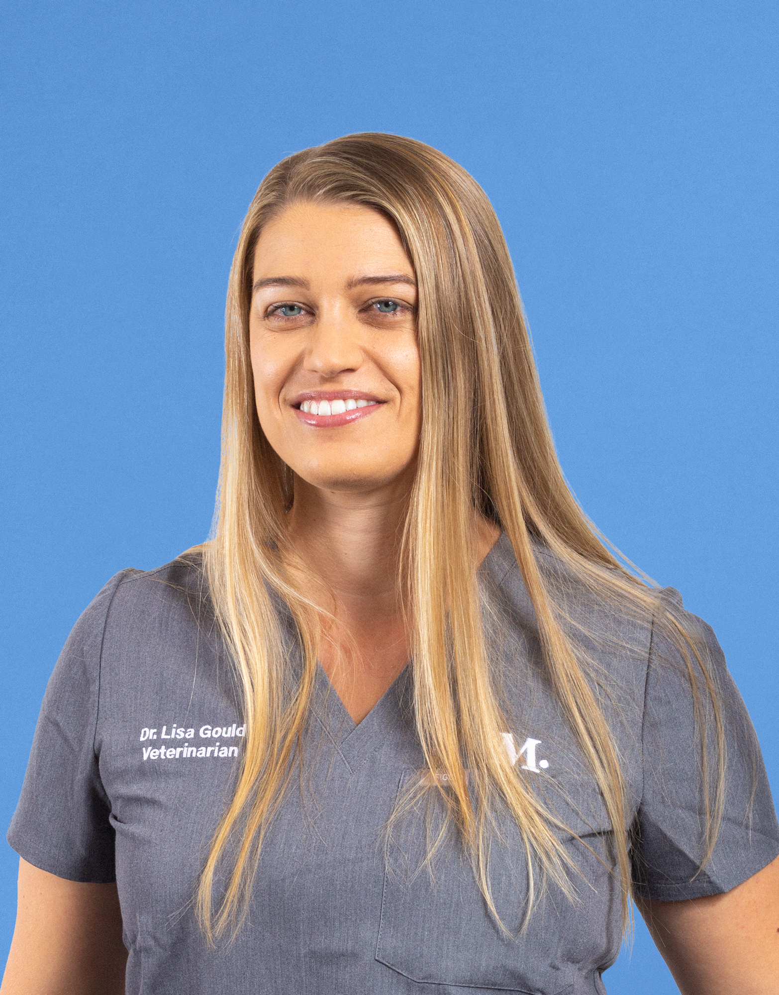 Culver City Modern Animal