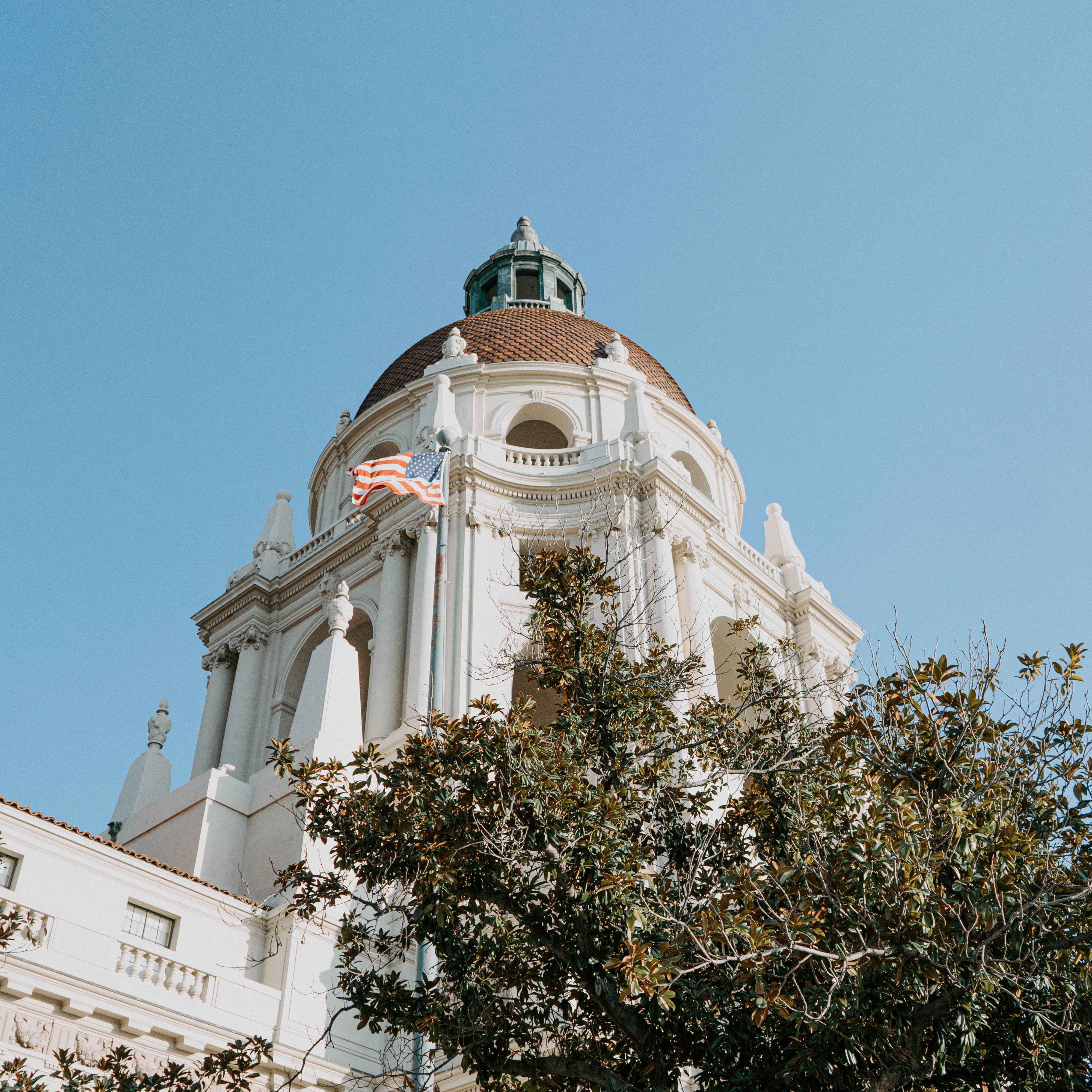 A Smarter, Warmer, Better Vet for All Modern Animal