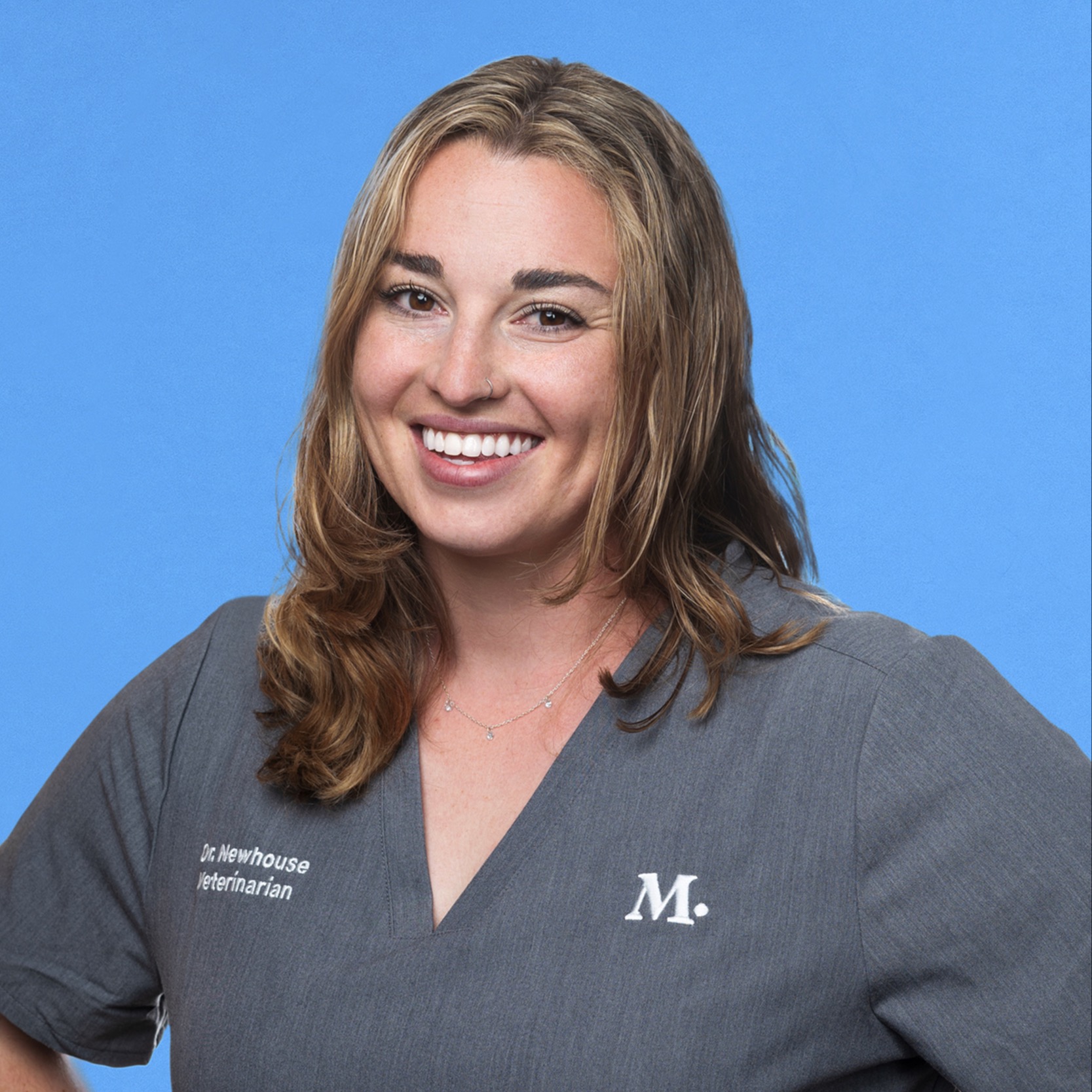 NoPa Vet and Pet Clinic Modern Animal Modern Animal