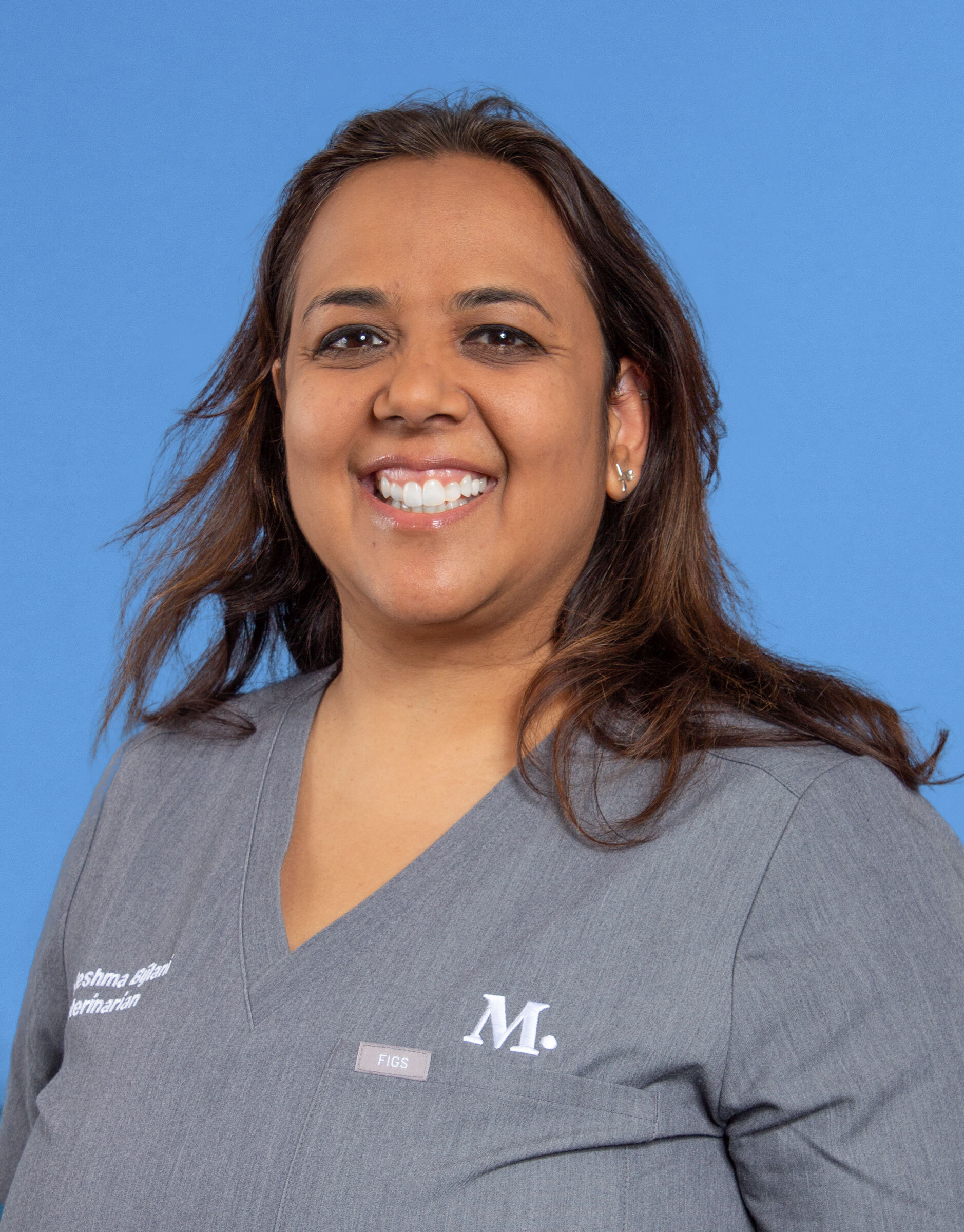 Culver City Modern Animal