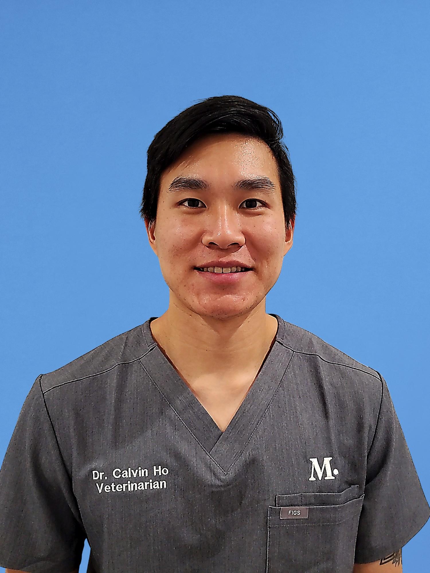 Berkeley Modern Animal