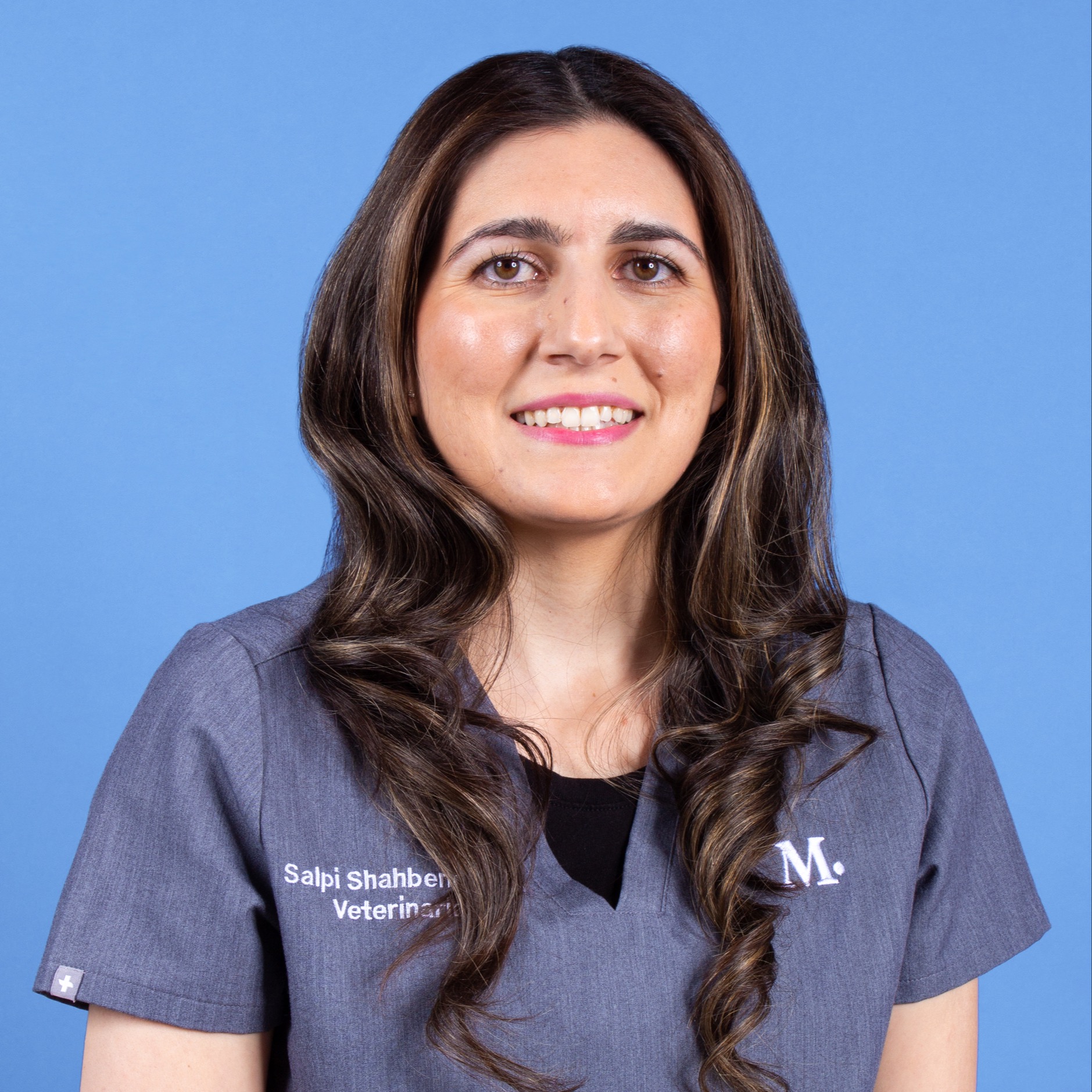 Studio City Modern Animal