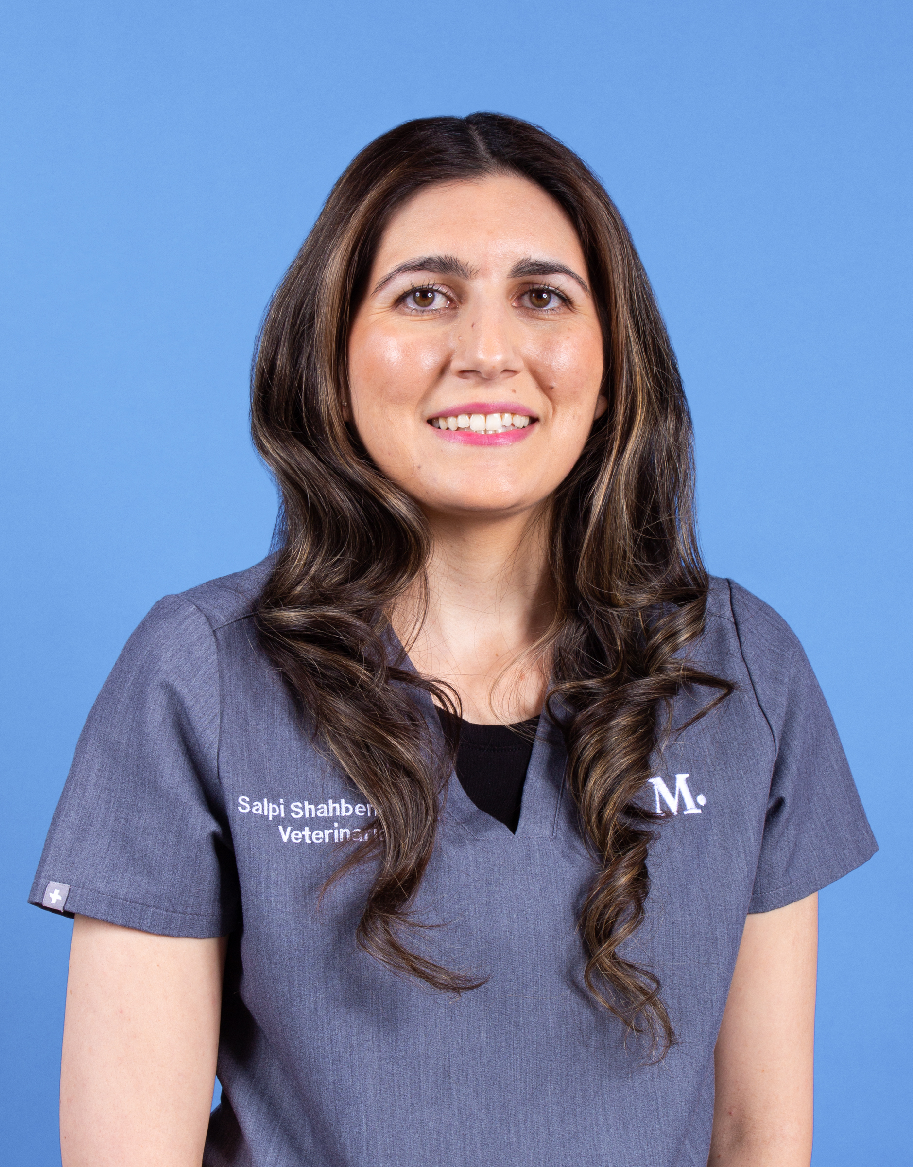 Studio City Modern Animal