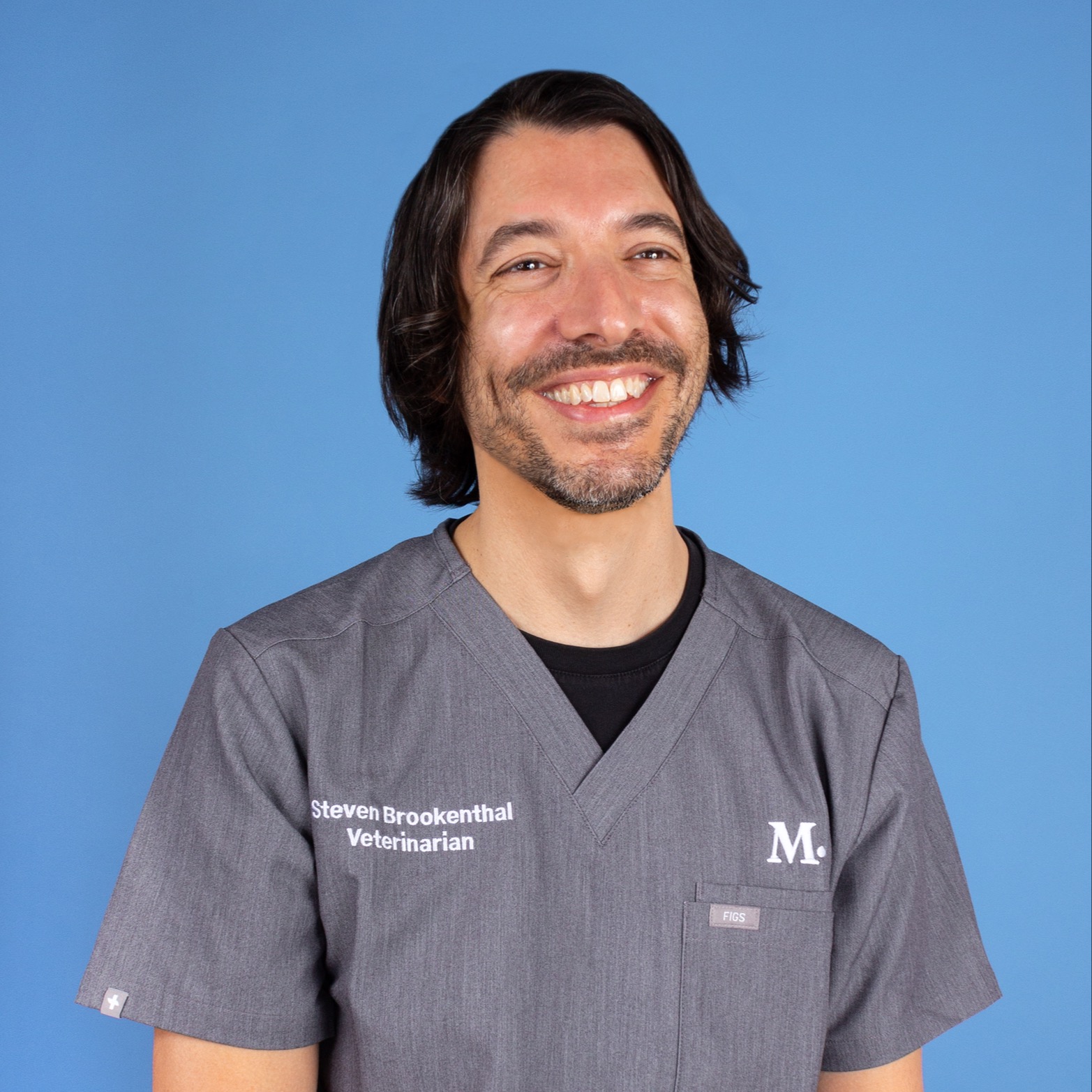 Glendale Vet and Pet Clinic Modern Animal Modern Animal