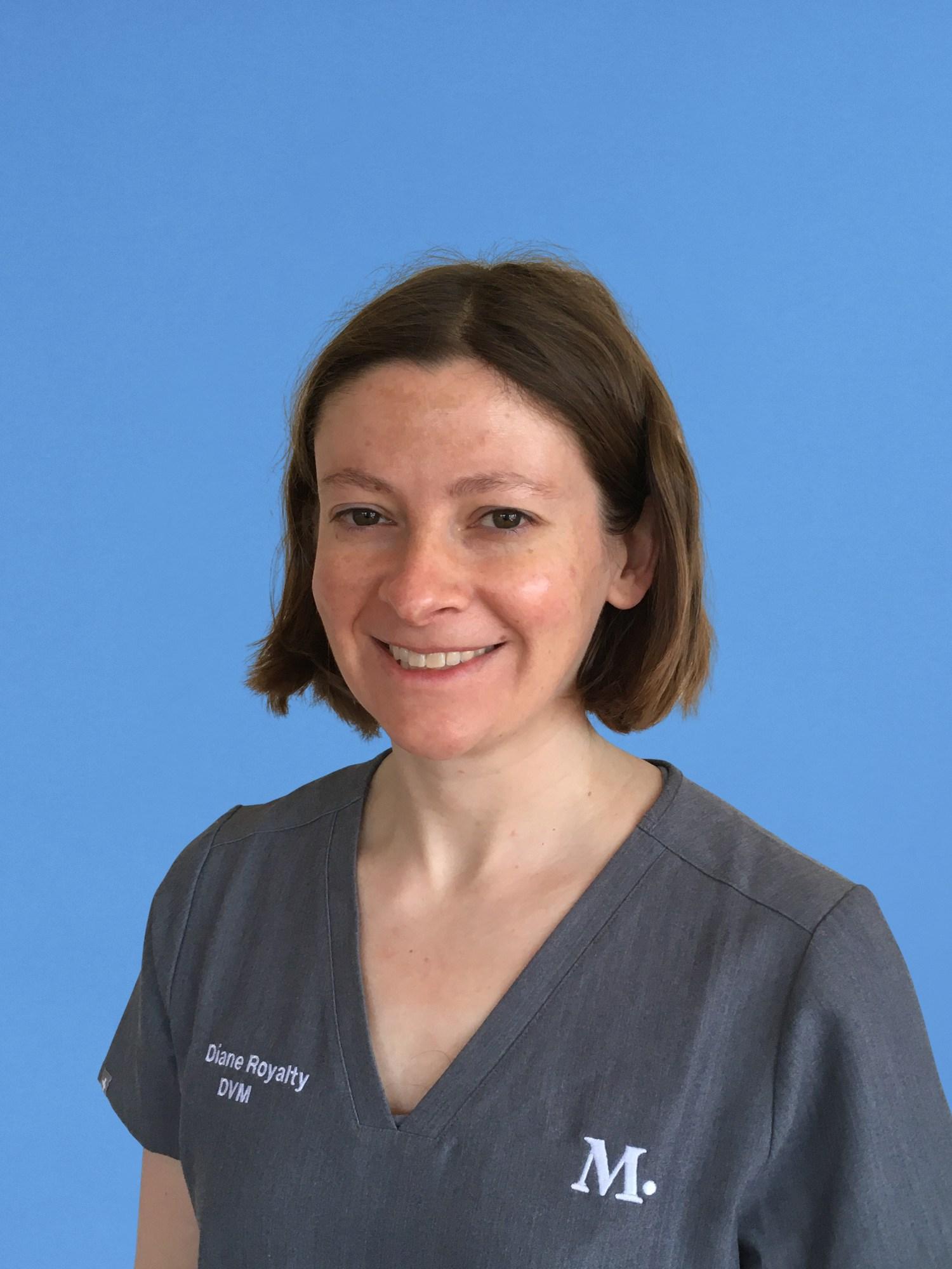 Berkeley Vet and Pet Clinic Modern Animal Modern Animal