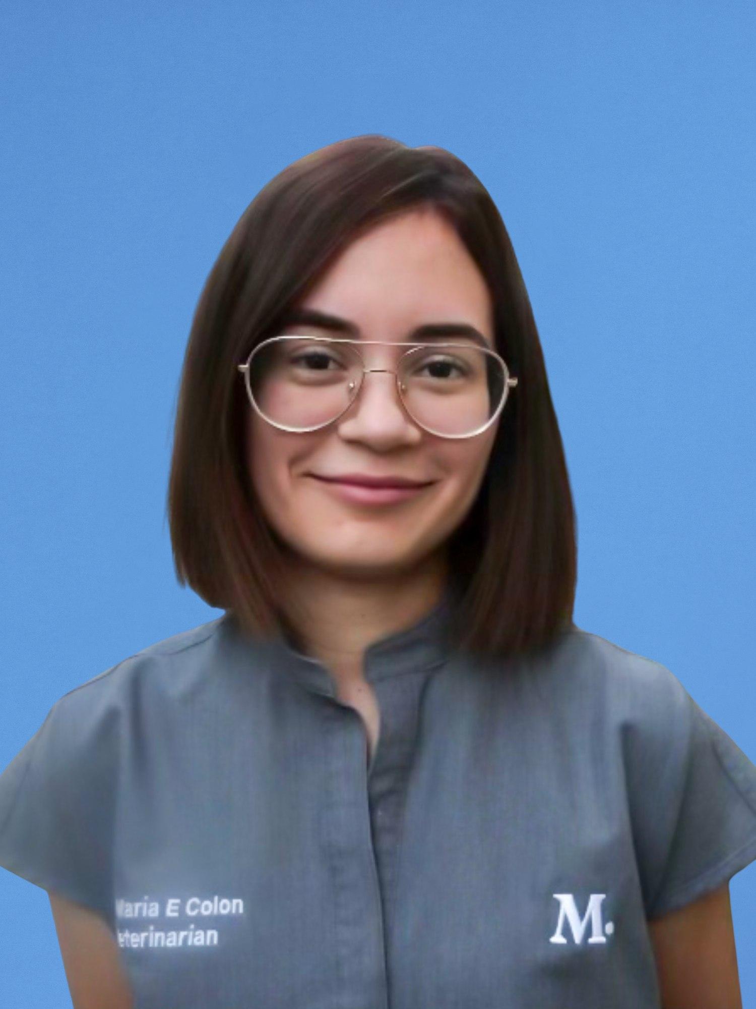 Glendale Vet and Pet Clinic Modern Animal Modern Animal