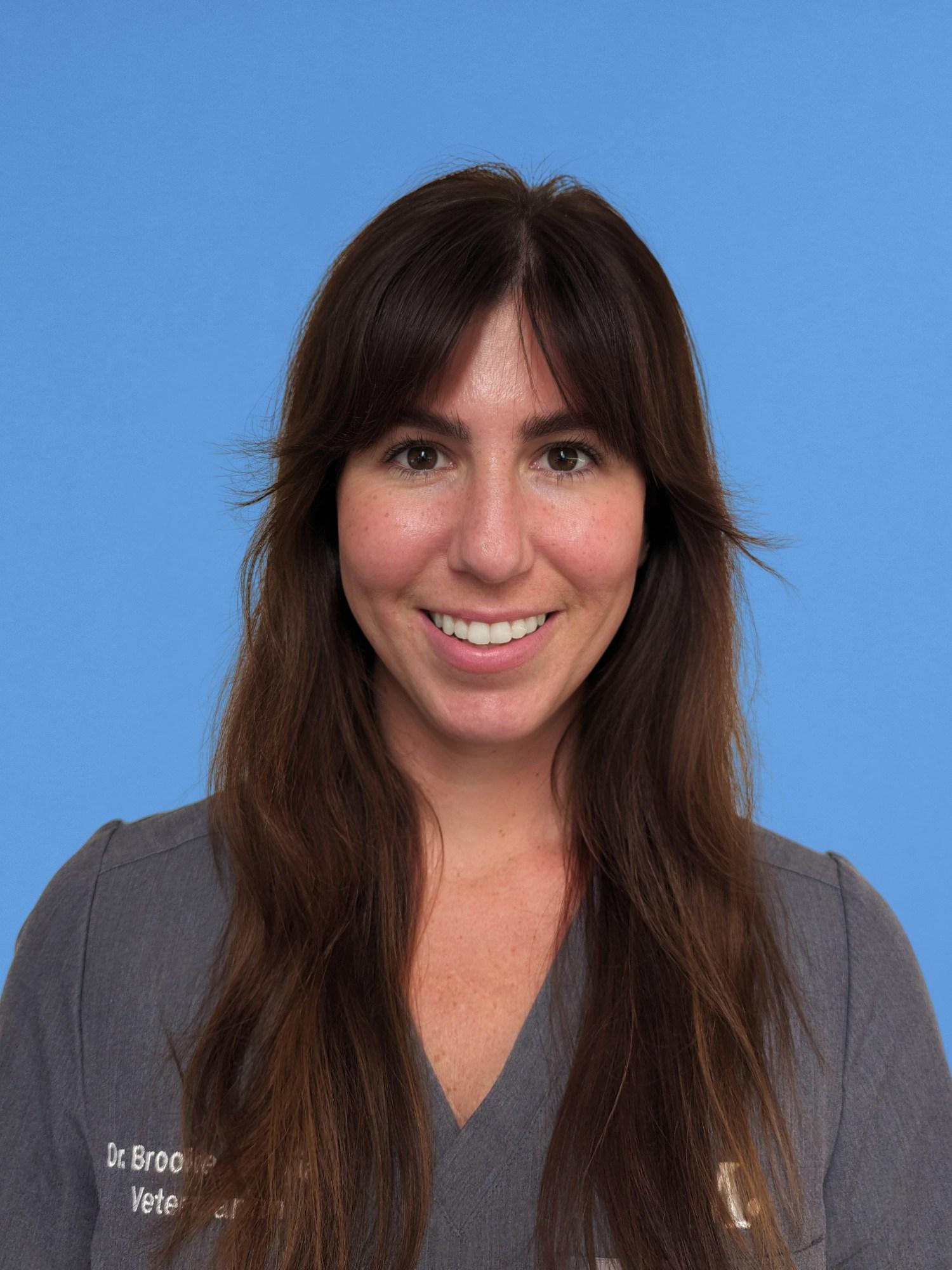 South Lamar Vet and Pet Clinic Modern Animal Modern Animal