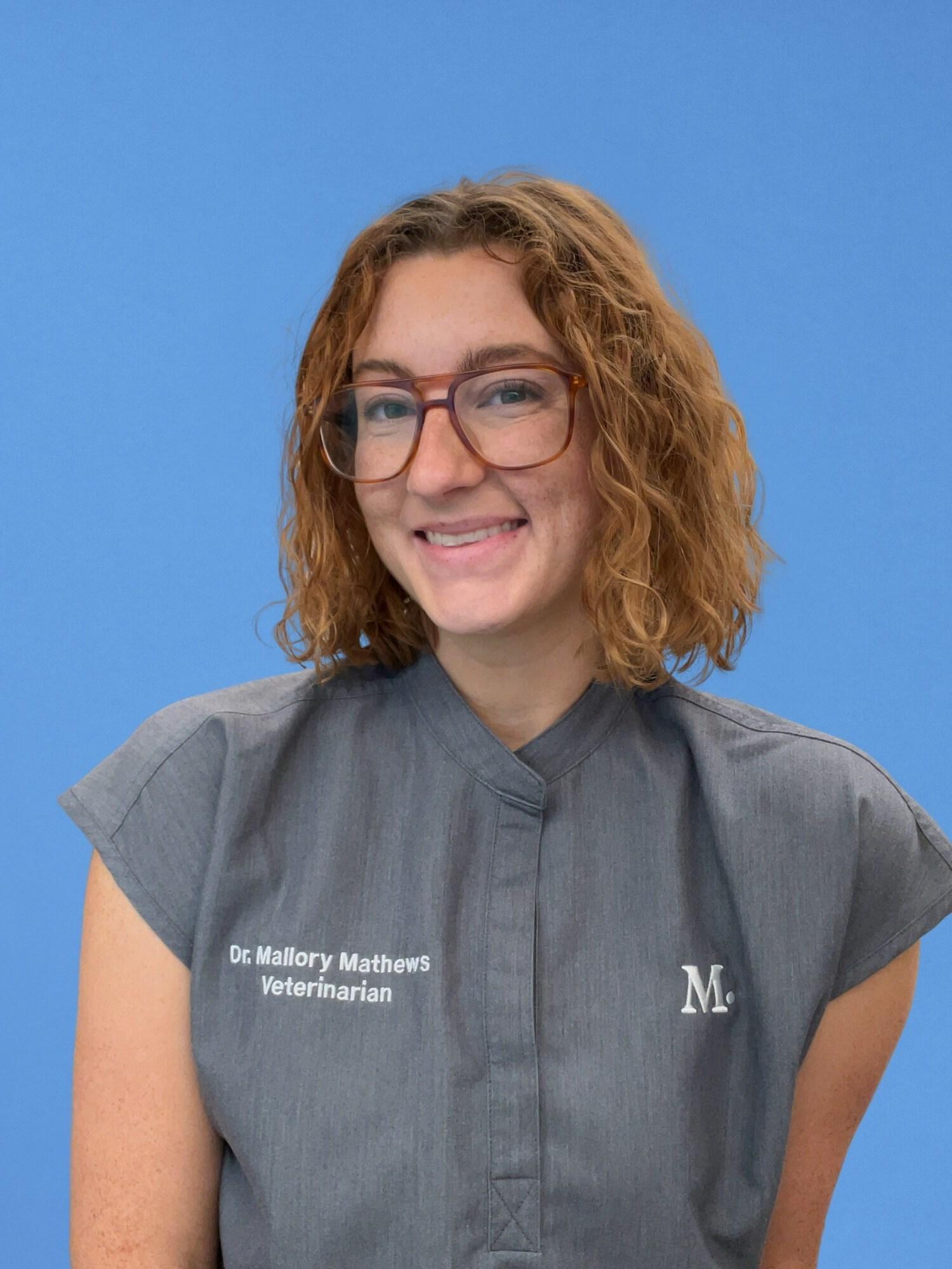 West LA Vet and Pet Clinic Modern Animal Modern Animal