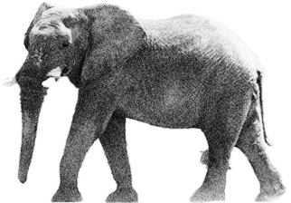 インターマン株式会社