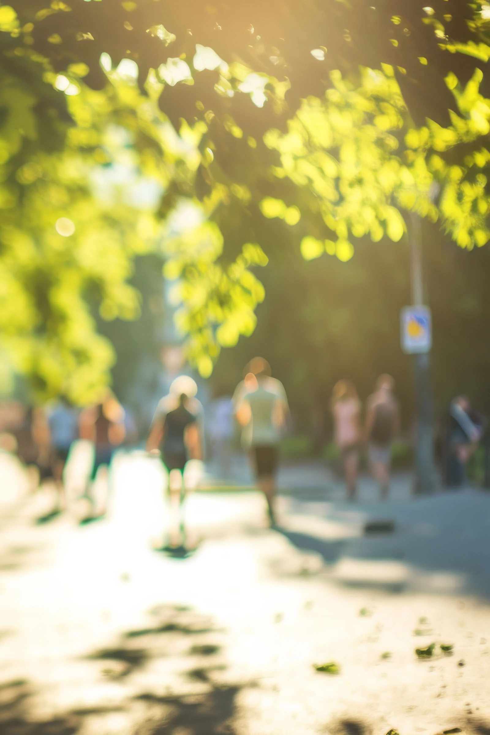 Insta vastuullisuus puisto 2025