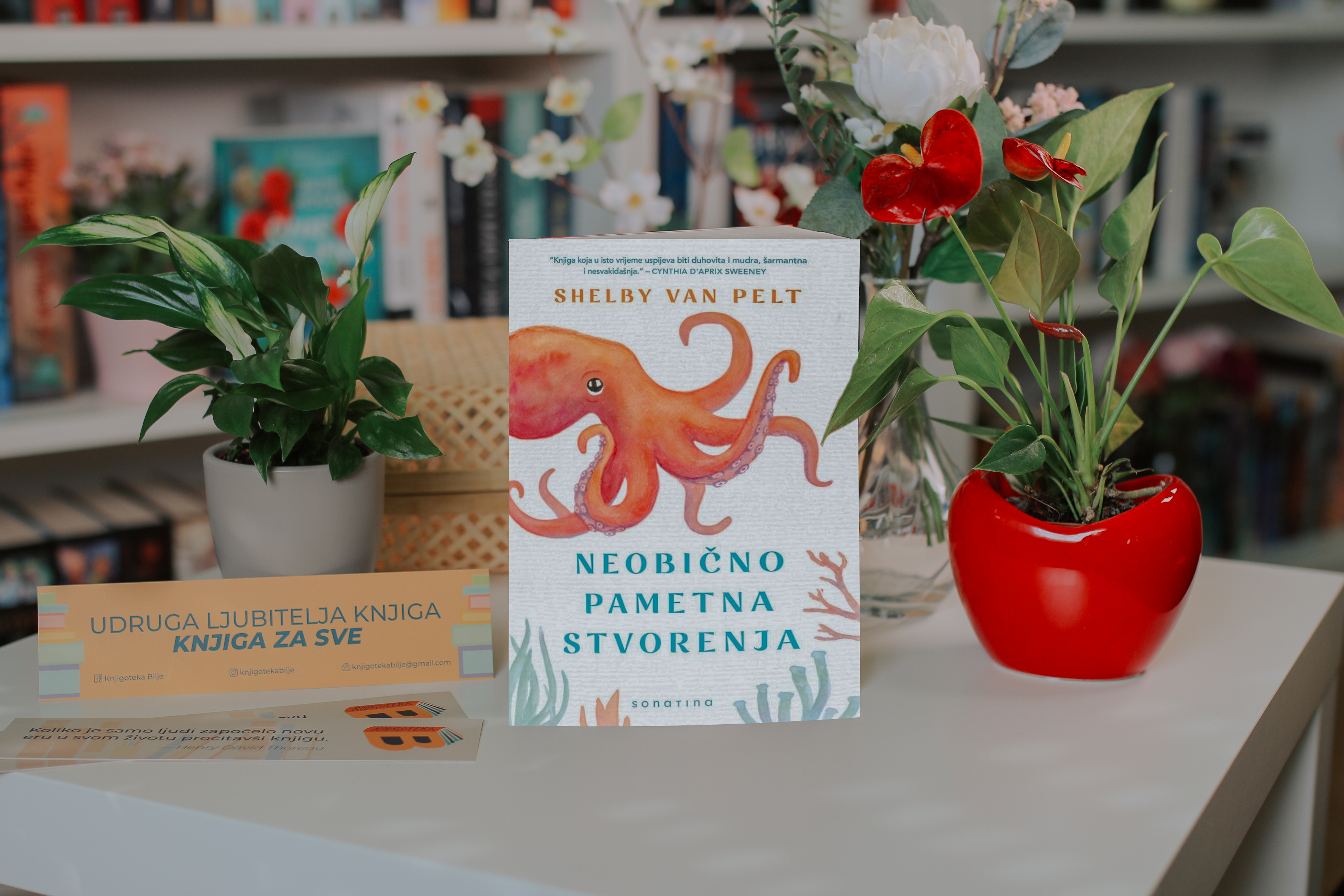 Neobicno pametna stvorenja