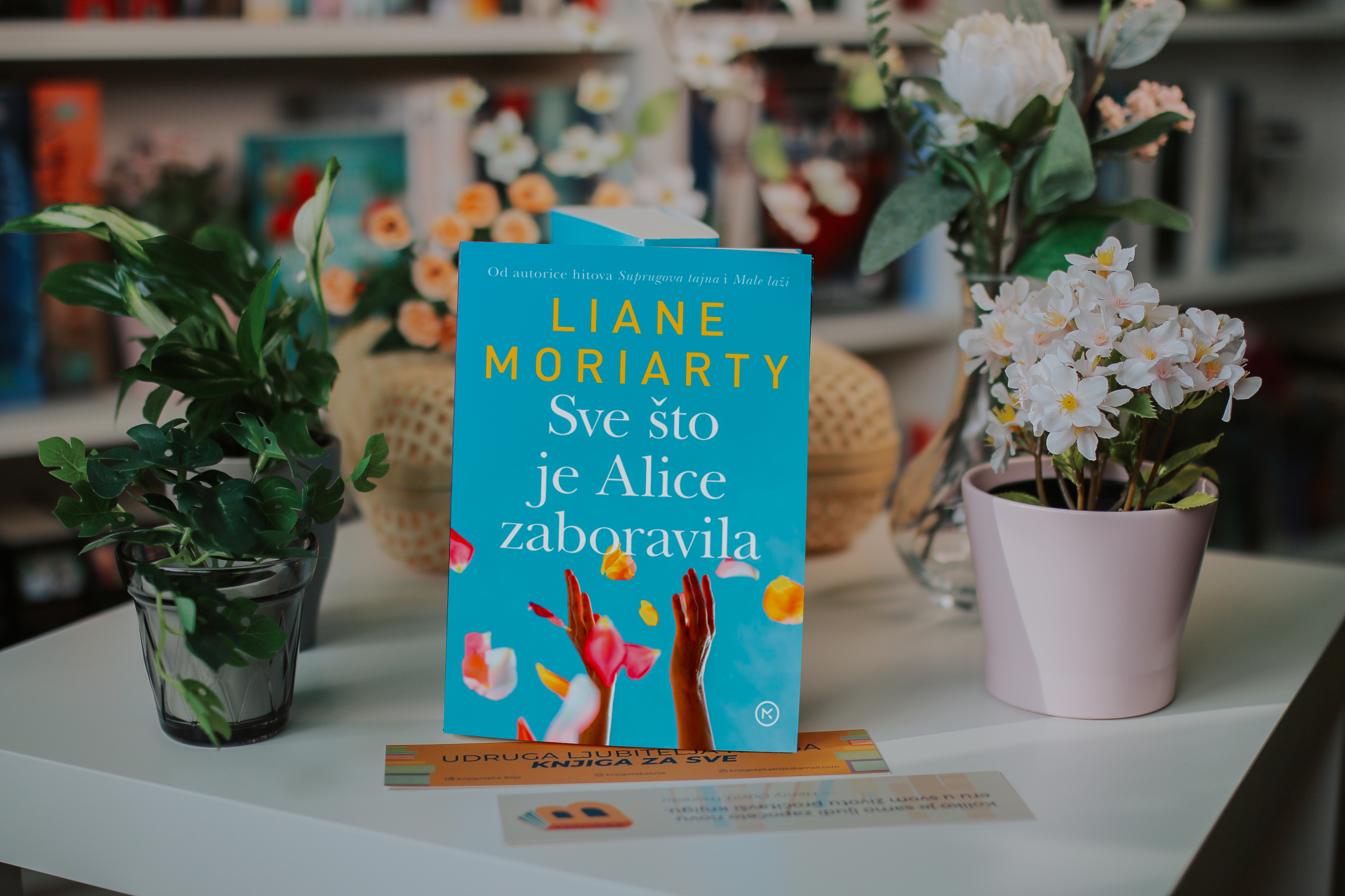 Sve sto je Alice zaboravila cover