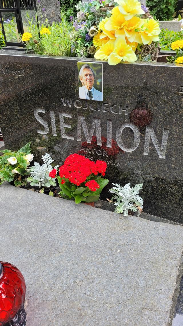 Pomnik Wojciecha Siemiona