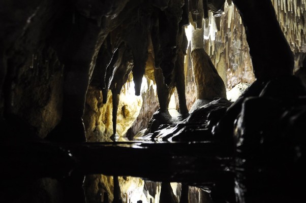 jaskinia-raj-ponownie-otwarta-dla-turystow-2-1614456525.jpg