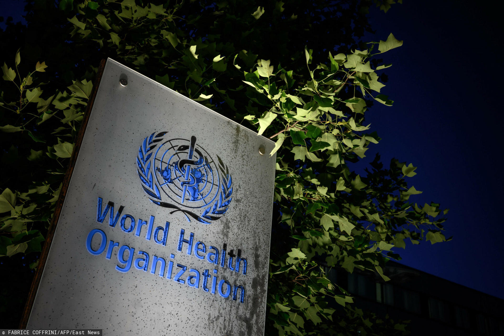 TOPSHOT - A photo taken in the late hours of May 29, 2020 shows a sign of the World Health Organization (WHO) at their headquarters in Geneva amid the COVID-19 outbreak, caused by the novel coronavirus. - President Donald Trump said May 29, 2020, he was breaking off US ties with the World Health Organization, which he says failed to do enough to combat the initial spread of the novel coronavirus. (Photo by Fabrice COFFRINI / AFP)
