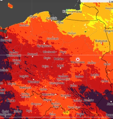 IMGW ostrzega, zagrożenie pożarowe jest bardzo wysokie w całej Polsce