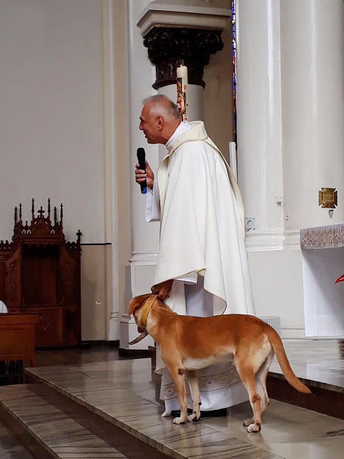 dog-interrupts-church-service-nossa-senhora-das-dores-3-5d0a06b13082d 700