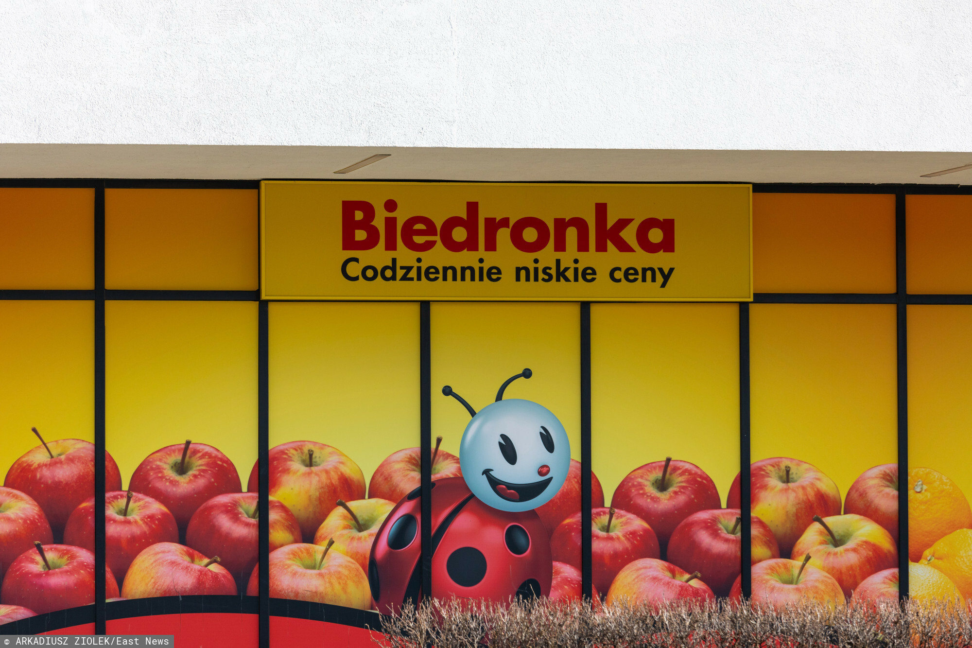 Biedronka